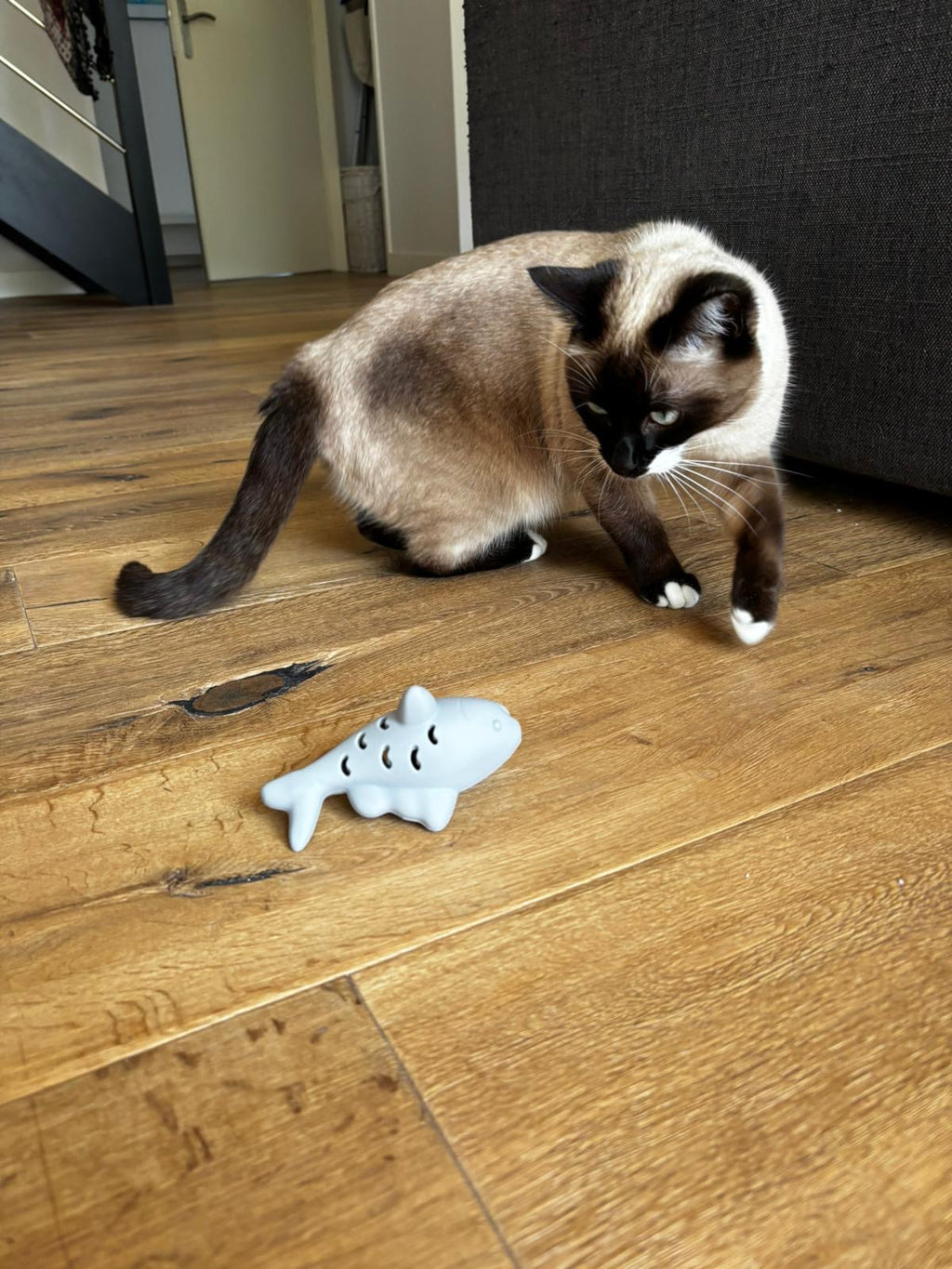 Jouet à croquettes "Croc'quin"
