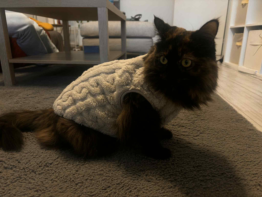 Pull chaud - Cozy et confort