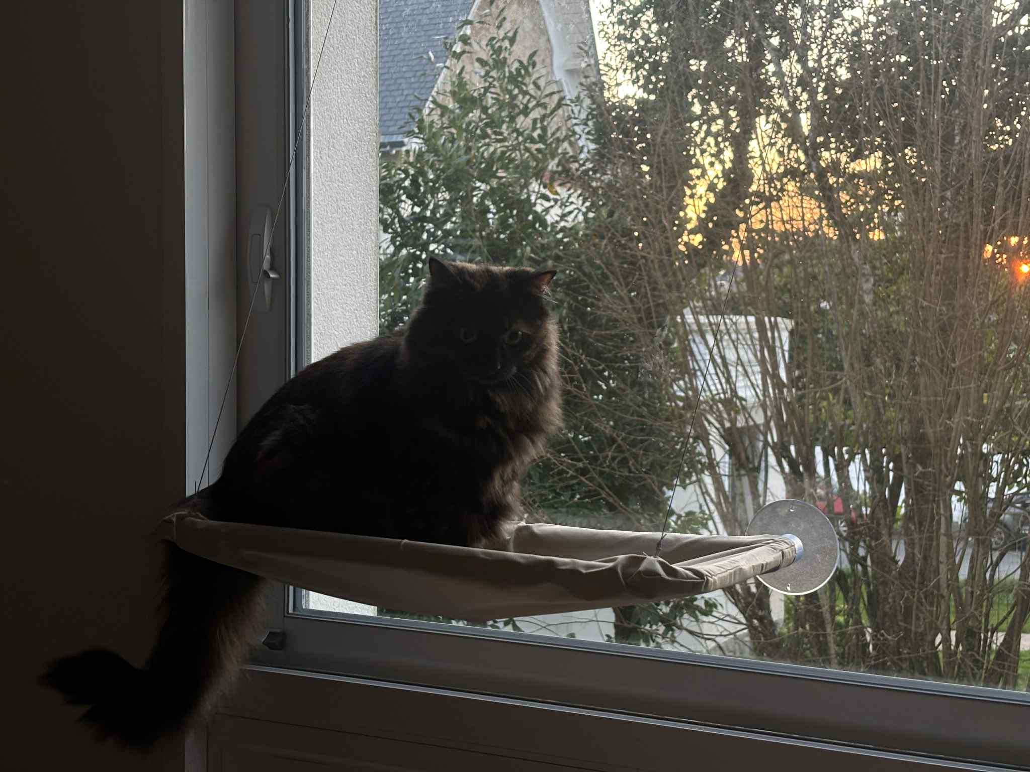 Hamac suspendu pour chat "Nid d'amour"