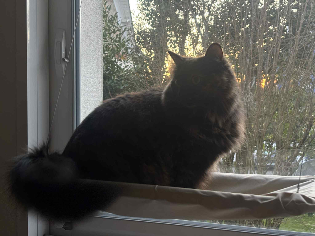 Hamac suspendu pour chat "Nid d'amour"