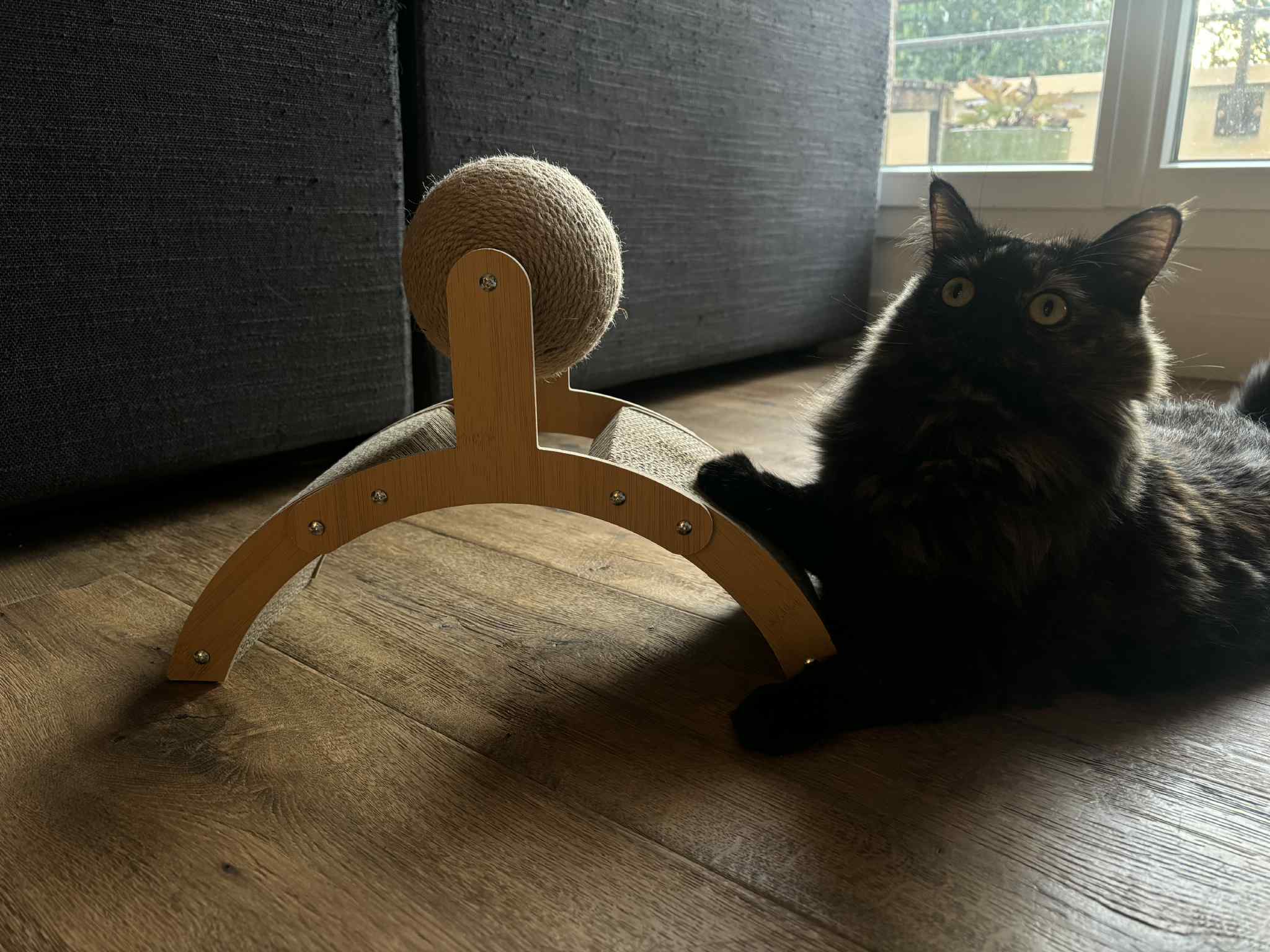 Griffoir chat "Sphère" - Entretien des griffes